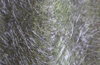 Coven Heath fibreglass roof work